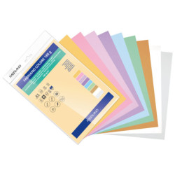 CARTULINA COLORE A3 185 G SURT. PASTEL BLISTER 10 H