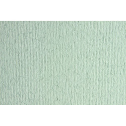 CARTULINA LR -LISO/RUGOSO 50X70CM 220G BL.ROTO 20HJ SADIPAL