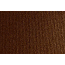 CARTULINA LR -LISO/RUGOSO 50X70CM 220G MARRON 20HJ SADIPAL