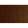 CARTULINA LR -LISO/RUGOSO 50X70CM 220G MARRON 20HJ SADIPAL