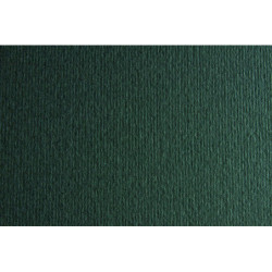 CARTULINA LR -LISO/RUGOSO 50X70CM 220G HIERRO 20HJ SADIPAL