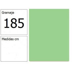 CARTULINA IRIS 50X65 185G VD.MENTA 25H.