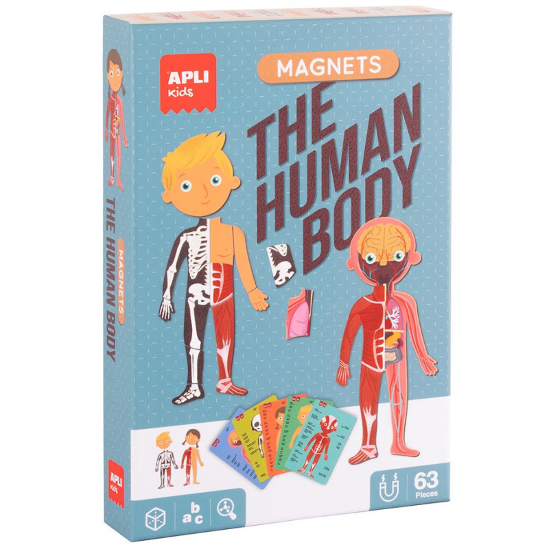 MAGNETS EL CUERPO HUMANO APLI 18531