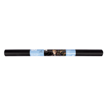 ROLLO ADHESIVO PIZARRA NEGRA 0,5X2M APLI 17166