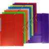 CARPETA GOMAS PP FOLIO SOLAPAS ROJO TRANSLUC LOMO ROTULABLE COLORGRAF GRAFOPLAS