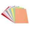 SUBCARPETA A4 180G GRIS CARTULINA PASTEL GRAFOPLAS