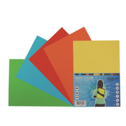 PAPEL COLORES SURTIDOS FUERTES A4 80G 250H