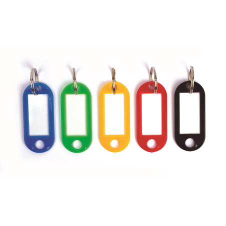 LLAVERO COLOR SOLIDO SURTIDO 100U APLI